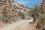 PICTURES/Woodchute Mountain Road - Verde RR/t_P1010327.JPG